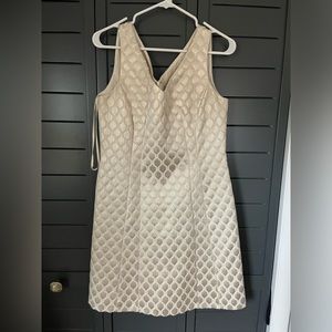 Ivory shimmery dress NWOT